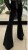 IMG_1545.jpeg