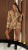 IMG_5771.jpeg