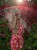 B4089A6D-8BD7-4638-B6B1-EE4C9C564A25.jpg
